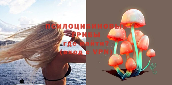apvp Армянск