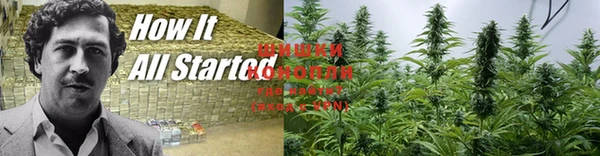 apvp Балабаново