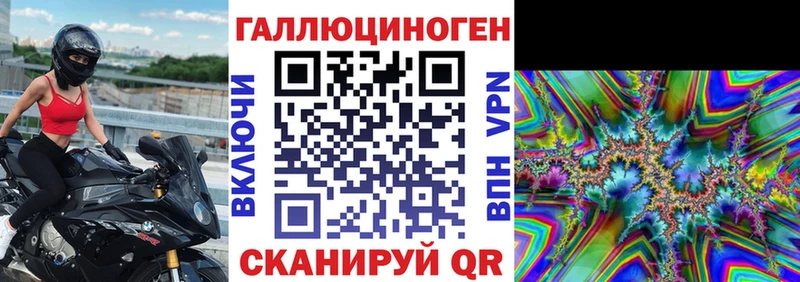 Галлюциногенные грибы Psilocybine cubensis  Севск 