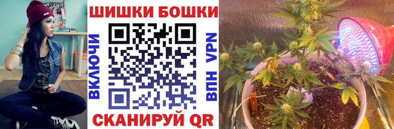 Шишки марихуана сатива  купить наркоту  Севск 
